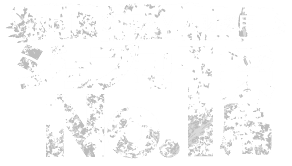 ジョブ型No.1採用