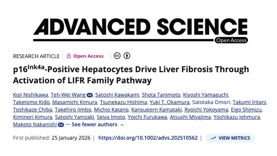 ADVANCED SCIENCE 論文